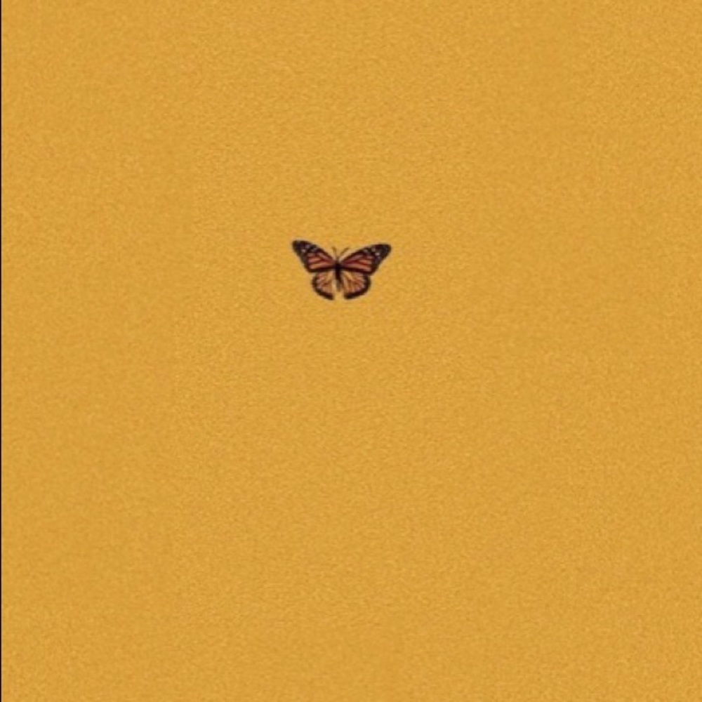 🦋🌙 The Monarch Moon